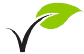 Green Leaf Icon For Metazene Odor Neutralizer