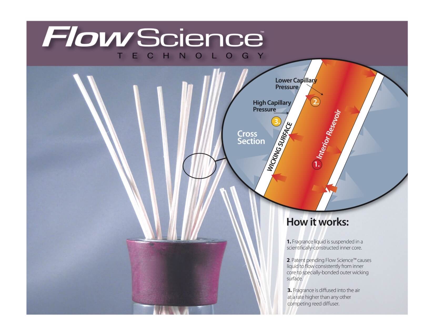 The NoFlip Reed Diffuser & How It Provides 30 Days Of Scent