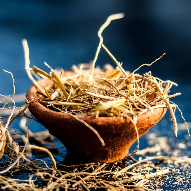 Vetiver Its Fragrant Magic and Mystery Within Perfumery