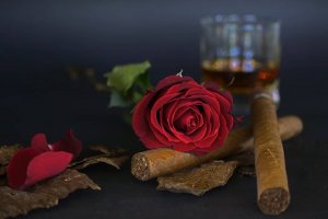 Burnt Shaded Tones Tobacco Fragrance