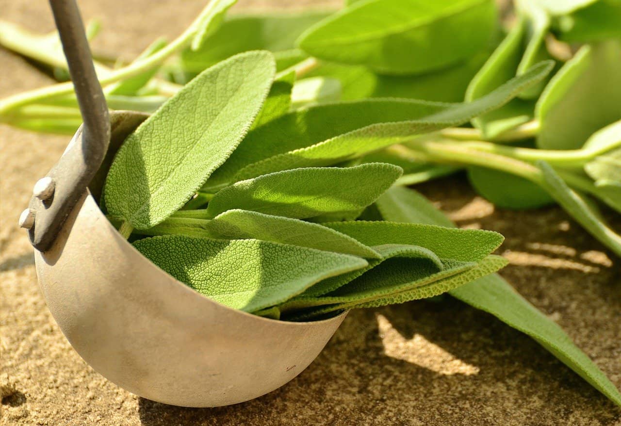 How Sage Adds A Renewed Energy To Scented Products