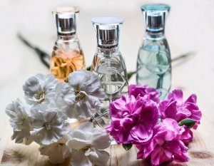 What is an Olfactory Profile