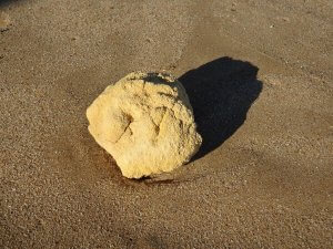Ambergris Use Within Scented Products