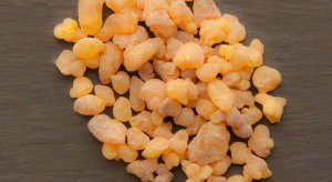 Resinous Scents frankincense